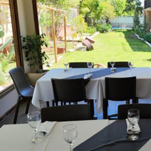 Terral Hotel & Spa Vicuña 外观 照片